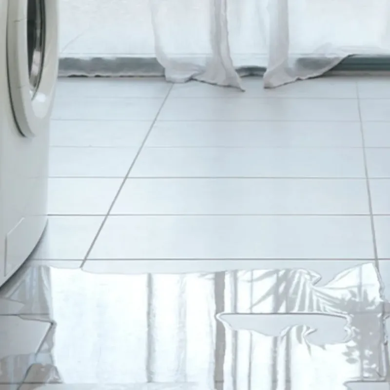 Appliance Leak Cleanup in Martin County, IN