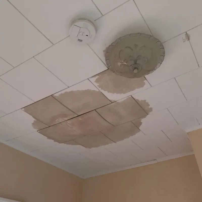 Ceiling Water Damage Repair in Martin County, IN