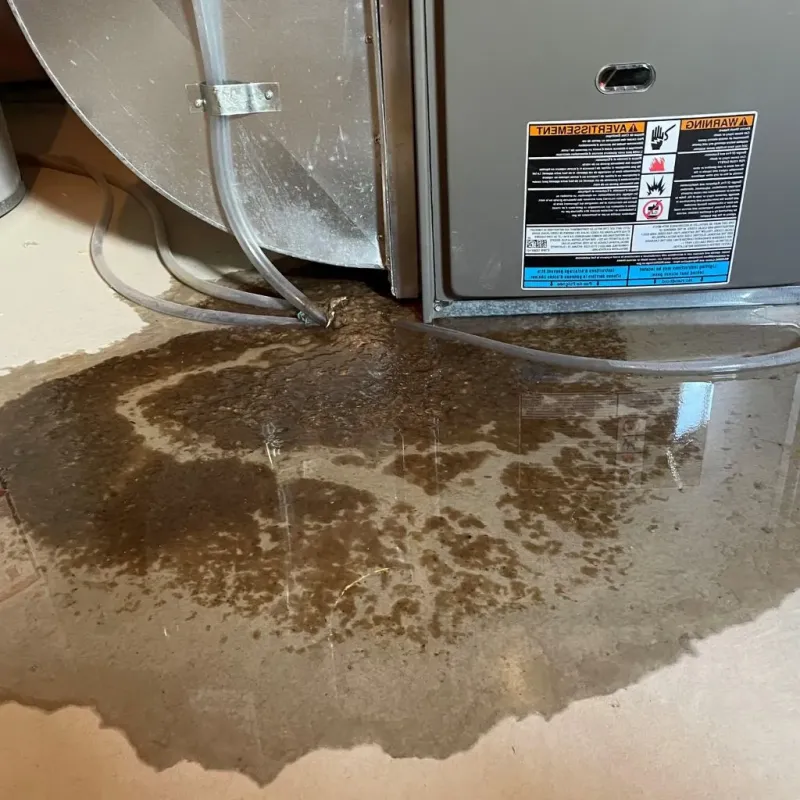 Pipe Burst and Leak Restoration in Martin County, IN